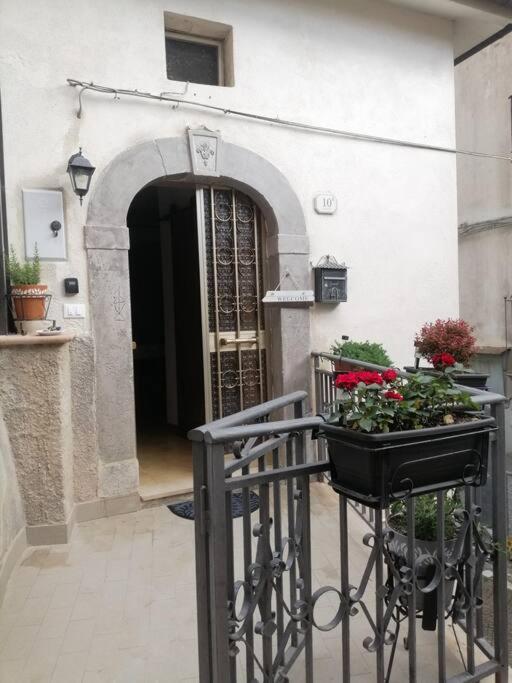 Villa La Casa Di Cinzia Pettorano sul Gizio Exterior foto