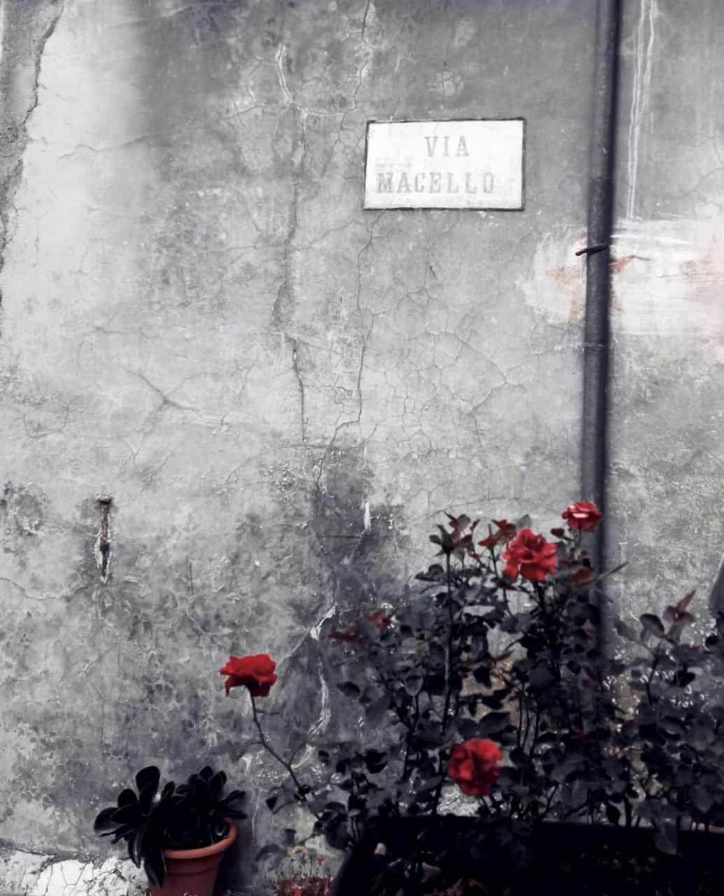 Villa La Casa Di Cinzia Pettorano sul Gizio Exterior foto